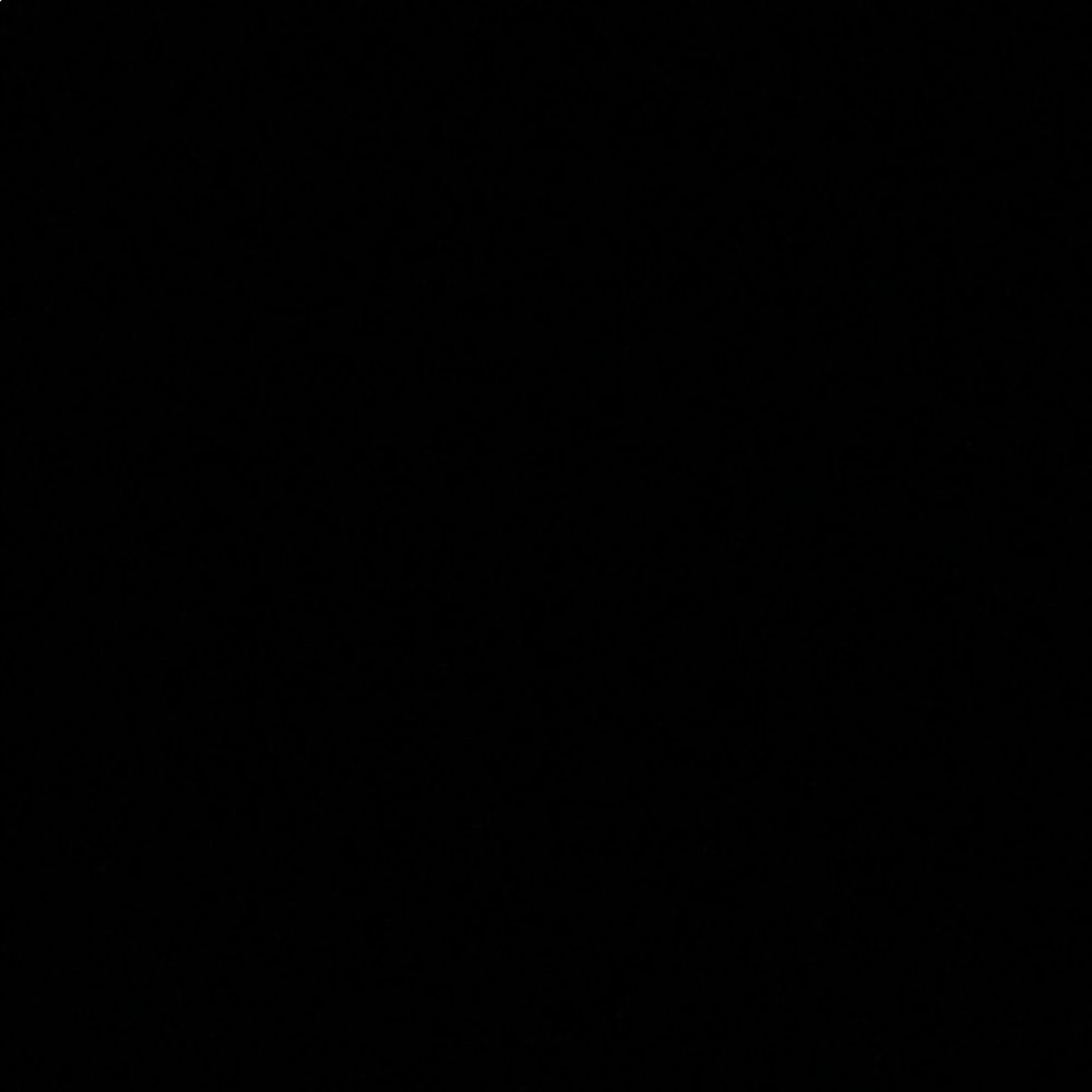 Meet your Posher, Joanie